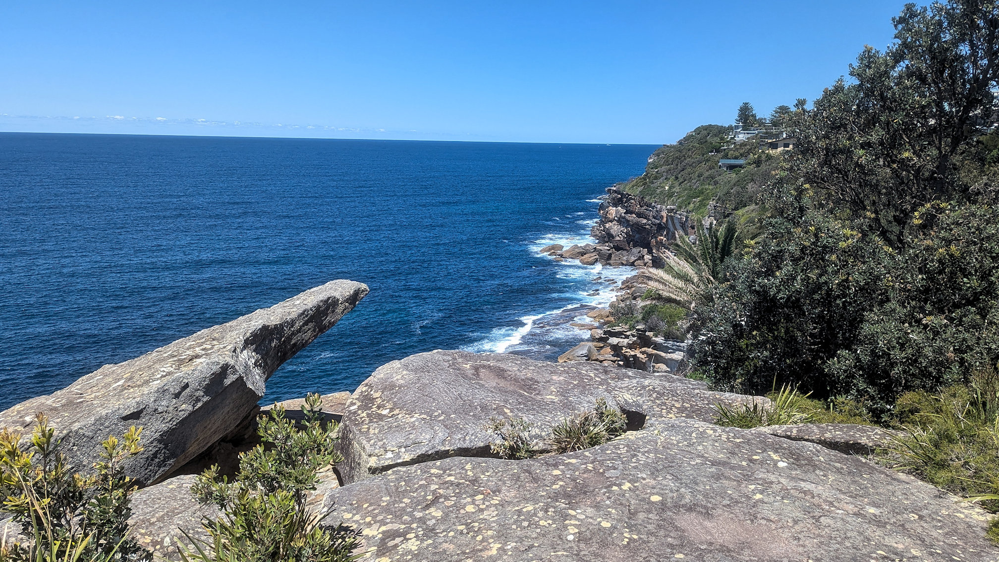 dy_curlcurl track (8)